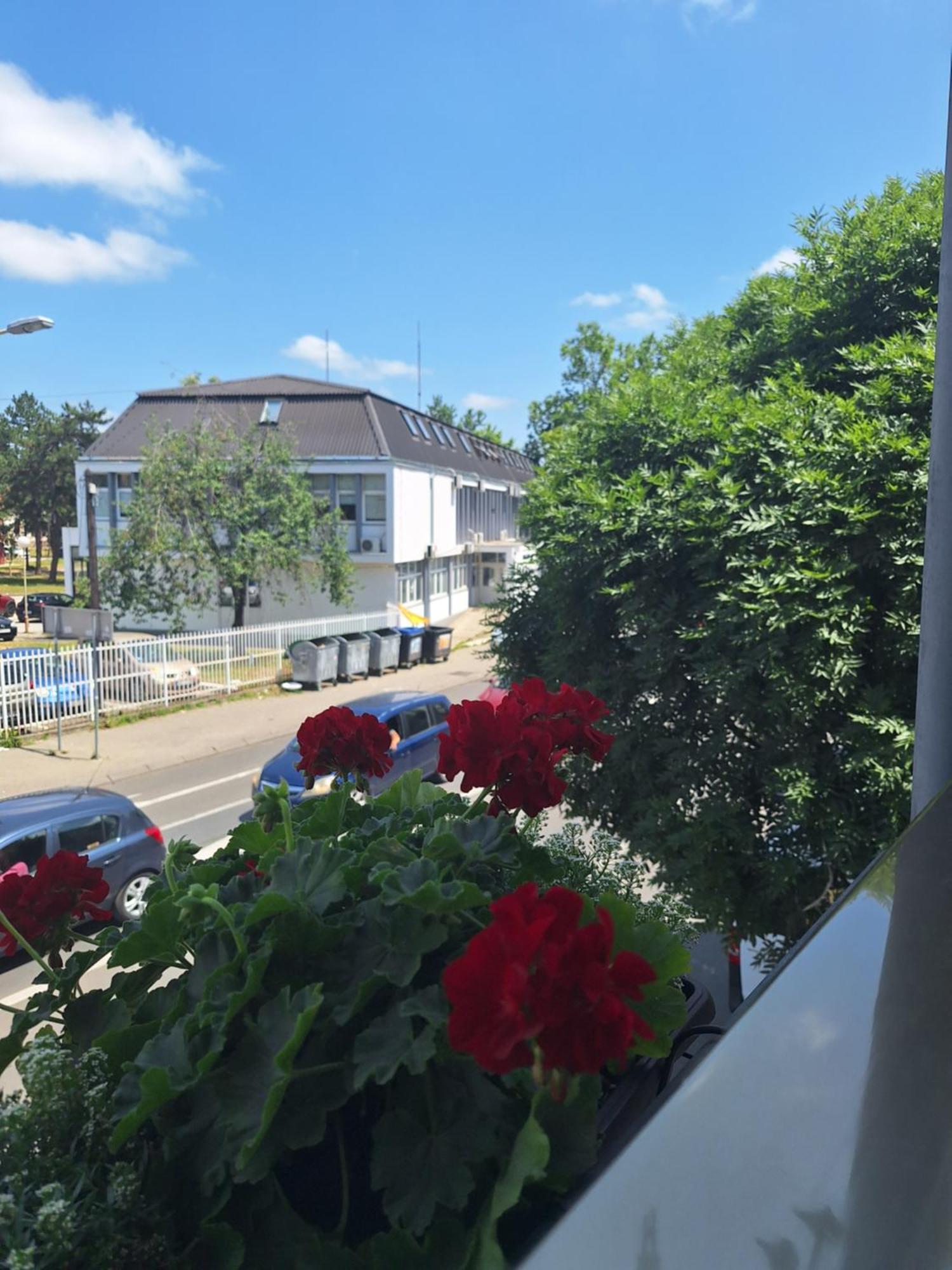 Garni Hotel Ema Kragujevac Zewnętrze zdjęcie