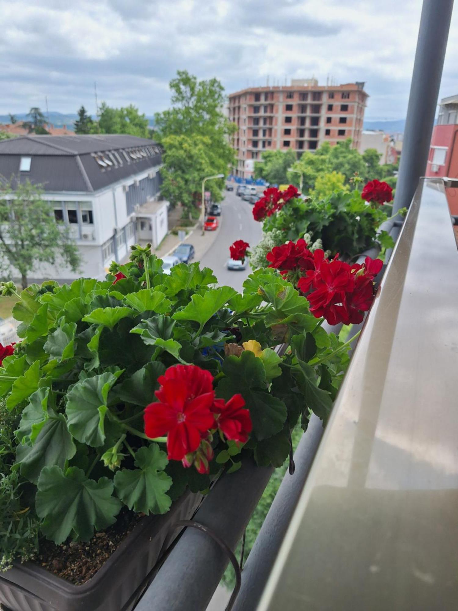 Garni Hotel Ema Kragujevac Zewnętrze zdjęcie