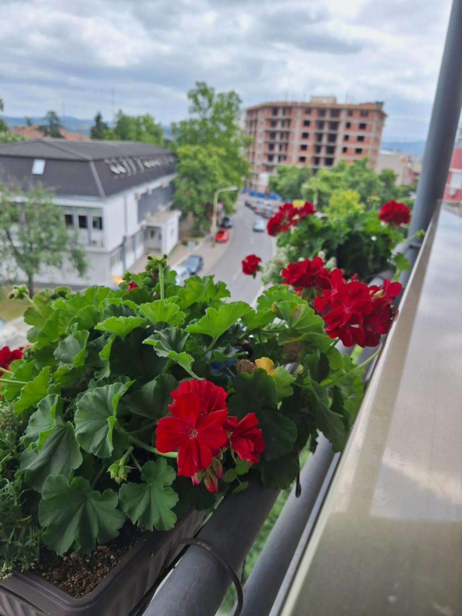 Garni Hotel Ema Kragujevac Zewnętrze zdjęcie